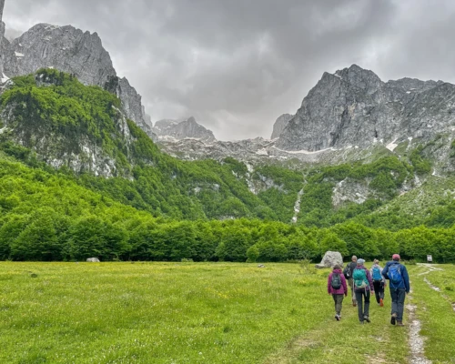 Serene nature hike showcasing diverse landscapes, from wooded trails to open vistas, capturing the essence of outdoor exploration and adventure. Hiking