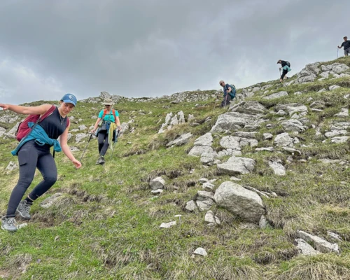 Serene nature hike showcasing diverse landscapes, from wooded trails to open vistas, capturing the essence of outdoor exploration and adventure.