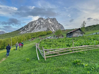 Serene nature hike showcasing diverse landscapes, from wooded trails to open vistas, capturing the essence of outdoor exploration and adventure. Serene nature hike showcasing diverse landscapes, from wooded trails to open vistas, capturing the essence of outdoor exploration and adventure.