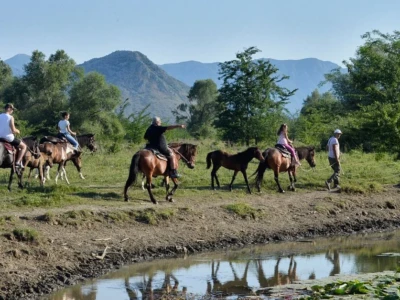 Multi-activity holiday