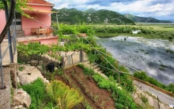 Lake view apartments